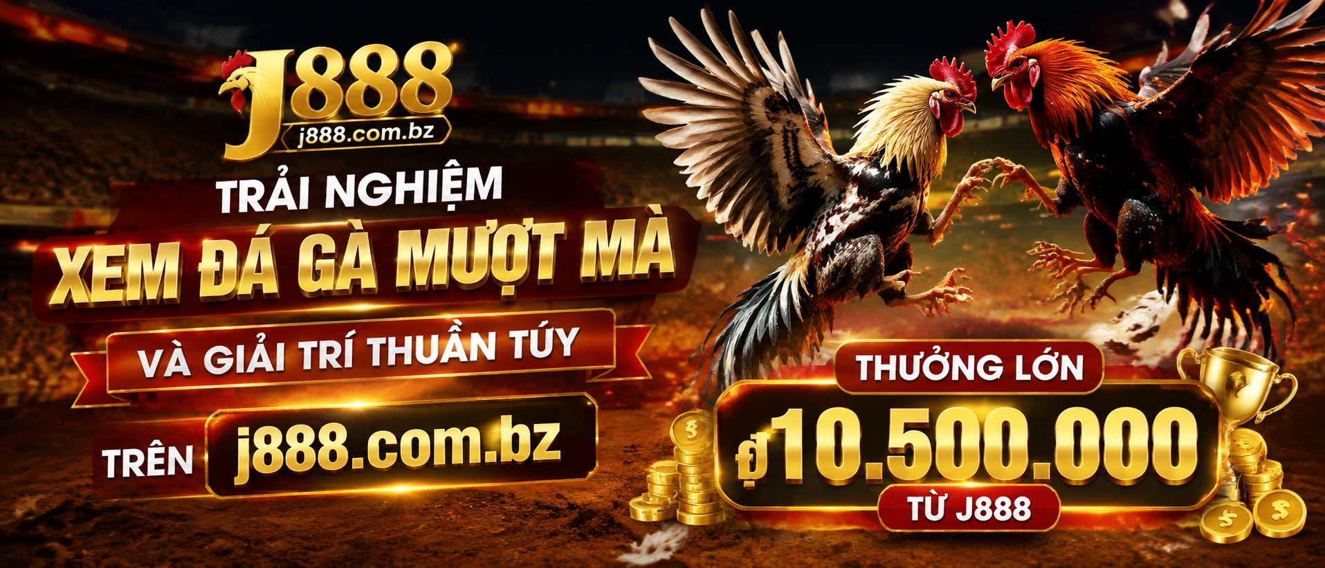 Đá Gà Trực Tiếp